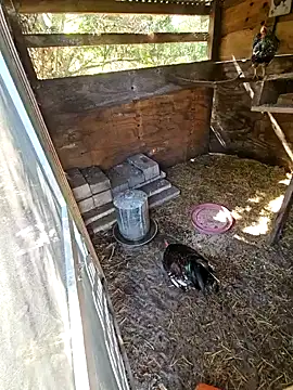 Snapshot of Mistress_Melissa chatting on 02-03-25, 04:41 Mistress Melissa online show from 02-03-25, 04:41