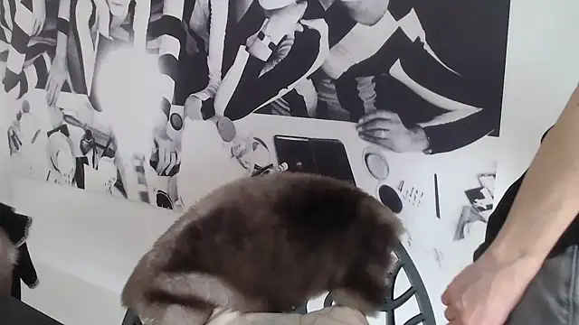 godinflower online show from 02-21-26, 02:18