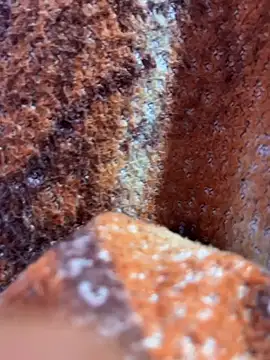 king cum  online show from 11-08-25, 01:17