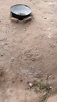 hairipussy2 online show from 02-20-25, 10:59