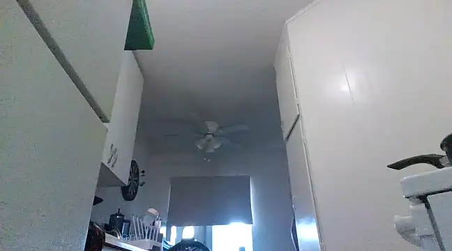 Snapshot of Antoniothedon chatting on 03-20-25, 03:04 Antoniothedon online show from 03-20-25, 03:04