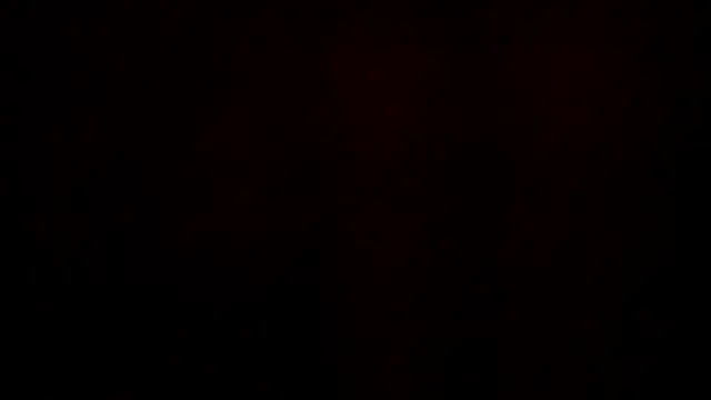 leatherz69 online show from 12-21-24, 06:19