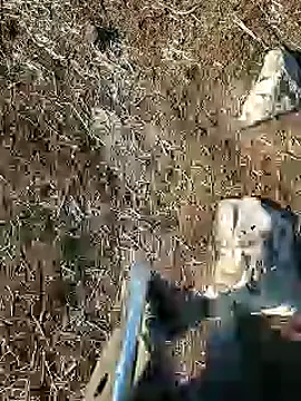 murokkk31 online show from 01-15-25, 08:09