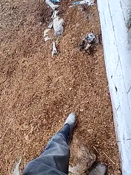 murokkk31 online show from 11-15-25, 12:45