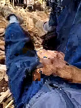 murokkk31 online show from 12-04-25, 08:34