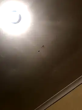 SmallGoodNut online show from 11-15-25, 04:10