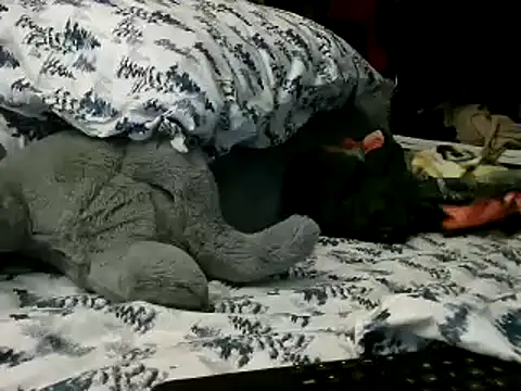 WHITEDAROSE online show from 01-15-25, 02:13