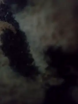 hotie7tvn online show from 10-10-25, 01:04