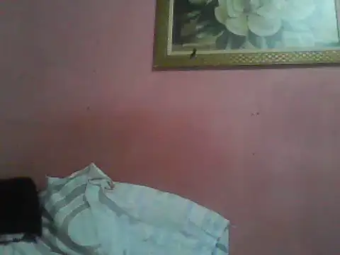 Bonecagulosa online show from 06-04-26, 08:59