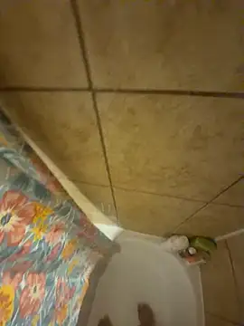 alxcol online show from 12-03-25, 04:42