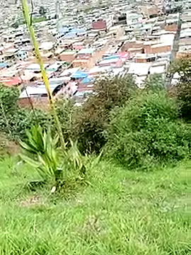 Snapshot of _snopyy_ chatting on 03-21-25, 03:57 snopyy online show from 03-21-25, 03:57
