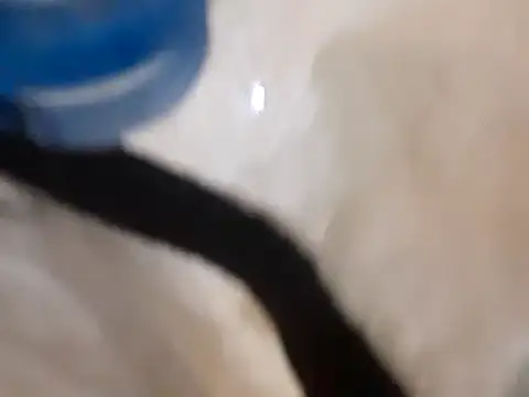 Snapshot of pedrodavid_ chatting on 03-14-25, 12:10 pedrodavid online show from 03-14-25, 12:10