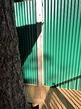 Snapshot of twist699 chatting on 11-04-25, 06:07 twist699 online show from 11-04-25, 06:07