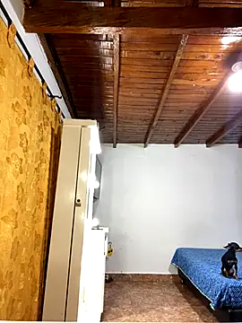 Zaratattoox online show from 12-01-25, 09:53