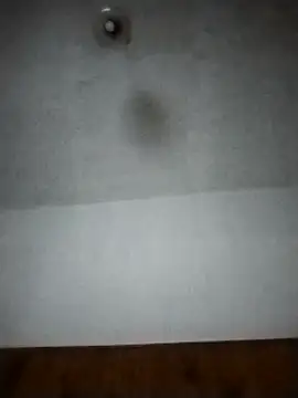 Xtrem3HARDxxx online show from 12-12-24, 06:14