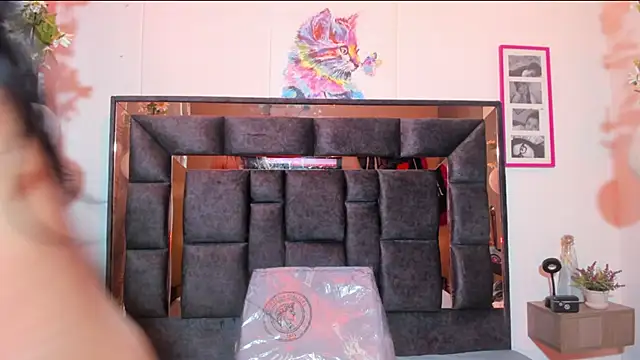 Snapshot of AmbeerBecker chatting on 02-02-26, 09:24 AmbeerBecker online show from 02-02-26, 09:24