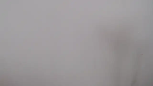 leoytessa 10 online show from 12-05-24, 09:17