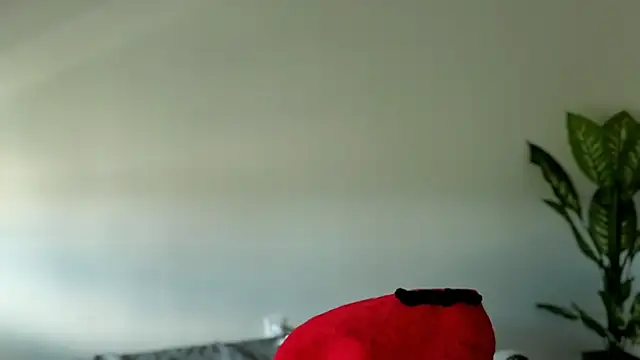 Snapshot of Sapphir3xoxo chatting on 09-24-25, 03:15 Sapphir3xoxo online show from 09-24-25, 03:15