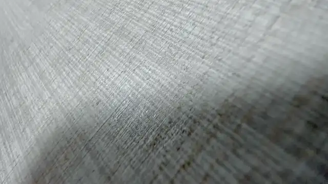 AishaRouhi online show from 03-31-26, 04:13