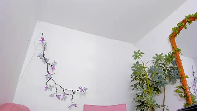 Snapshot of BonnieCute_ chatting on 02-24-26, 11:47 BonnieCute online show from 02-24-26, 11:47