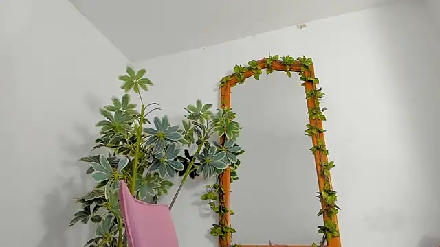 Snapshot of BonnieCute_ chatting on 02-25-26, 11:36 BonnieCute online show from 02-25-26, 11:36