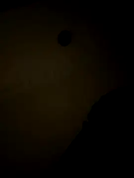 sluttydylan online show from 12-17-25, 09:04