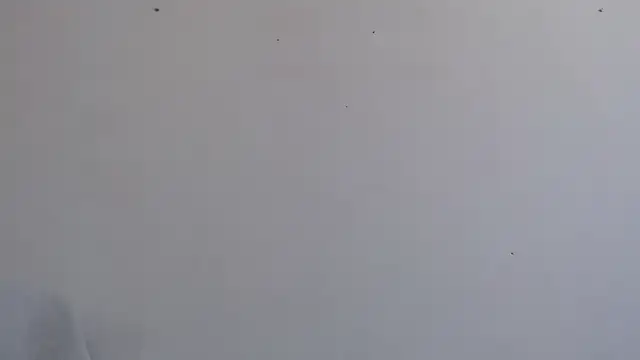 Niurca01  online show from 09-26-25, 03:49