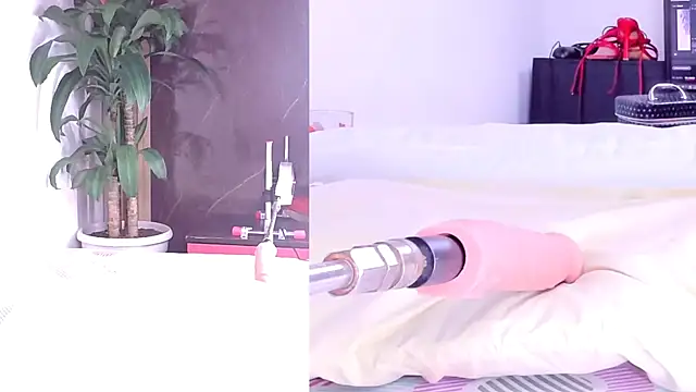 Sophia Lovers01 online show from 03-02-26, 08:37