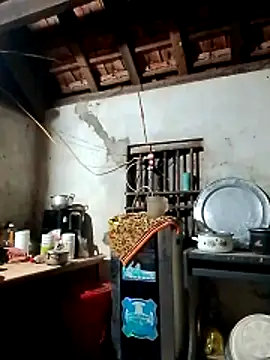 Hotpussy3ox online show from 03-02-26, 10:16