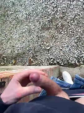 Snapshot of Nicky-98 chatting on 12-26-24, 03:42 Nicky-98 online show from 12-26-24, 03:42