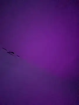 Snapshot of LiosArmando420 chatting on 01-06-26, 01:59 LiosArmando420 online show from 01-06-26, 01:59