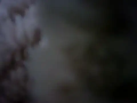 Snapshot of 07YUKIO chatting on 01-24-25, 10:08 07YUKIO online show from 01-24-25, 10:08