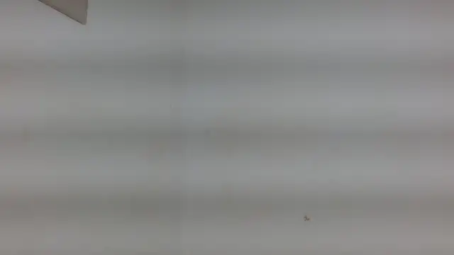 yulissa18 online show from 01-29-25, 03:22