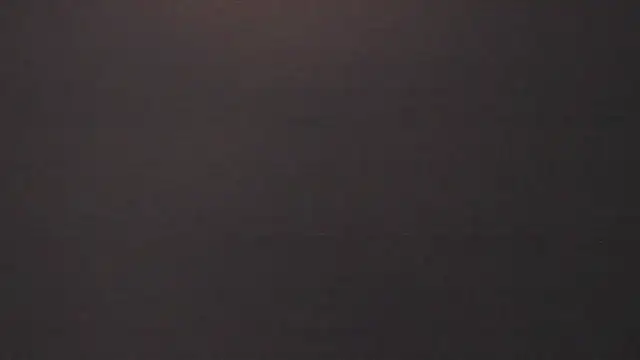 vera candella online show from 02-16-26, 12:01