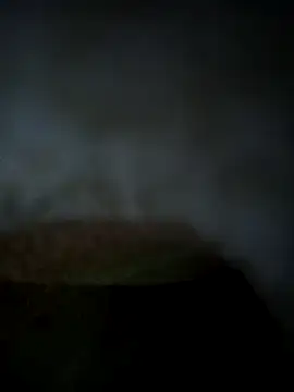 Shivi shahh online show from 01-20-25, 07:46