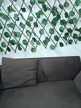 Snapshot of Bold-Cat chatting on 11-20-25, 04:51 Bold-Cat online show from 11-20-25, 04:51