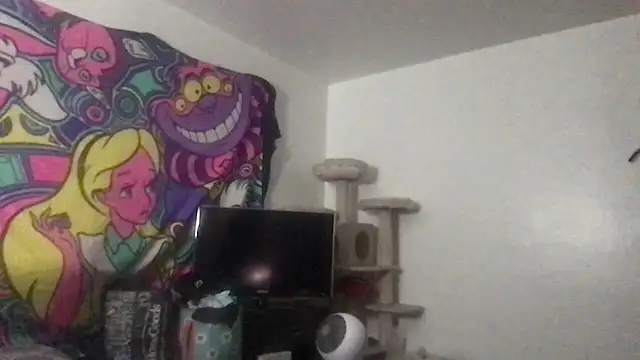 SpunCandy online show from 05-27-26, 08:50