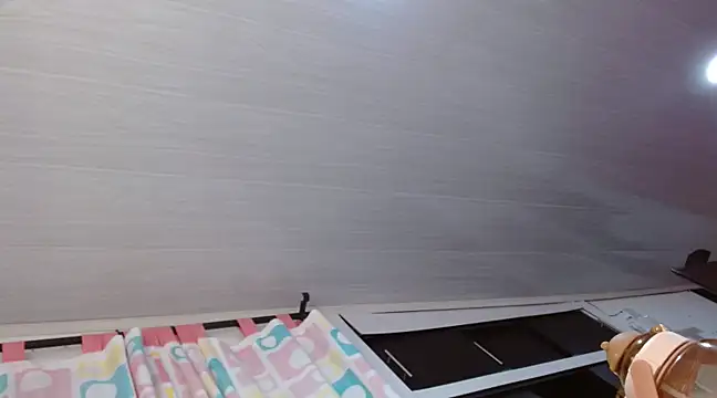 Snapshot of Manusomer chatting on 02-21-25, 04:29 Manusomer online show from 02-21-25, 04:29