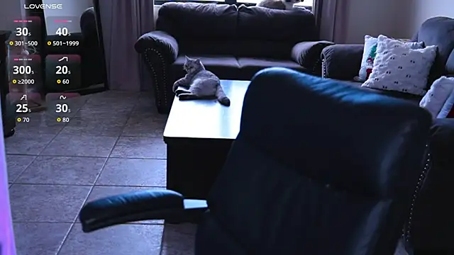 Snapshot of Naughty-Kitty1 chatting on 07-07-26, 06:23 Naughty-Kitty1 online show from 07-07-26, 06:23