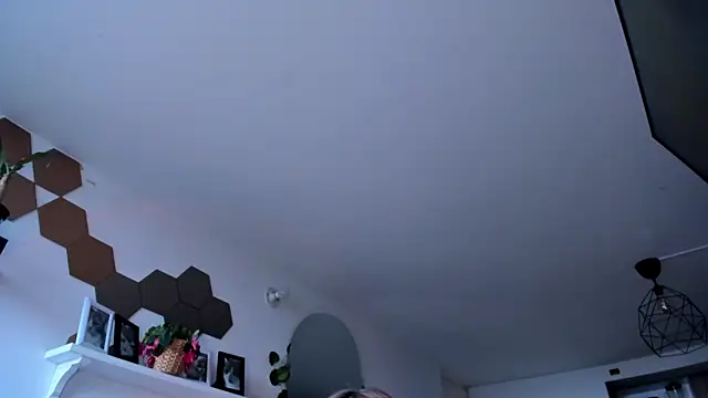 Snapshot of evy_orange1 chatting on 03-05-26, 12:12 evy orange1 online show from 03-05-26, 12:12