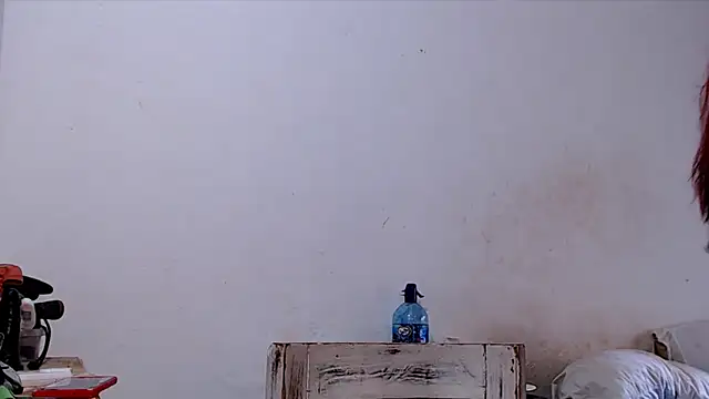 Snapshot of SusiDream chatting on 03-14-26, 08:58 SusiDream online show from 03-14-26, 08:58