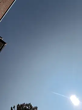 Snapshot of camdanz777 chatting on 09-09-25, 04:28 camdanz777 online show from 09-09-25, 04:28