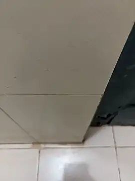 Snapshot of nangakings chatting on 12-17-25, 03:18 nangakings online show from 12-17-25, 03:18