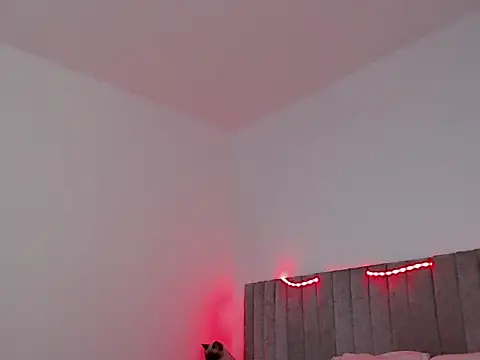 Snapshot of thomas_gun chatting on 11-07-25, 01:49 thomas gun online show from 11-07-25, 01:49