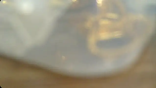 Snapshot of Rashisharma chatting on 10-14-25, 12:06 Rashisharma online show from 10-14-25, 12:06