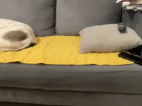 4small4inchlol online show from 01-10-26, 03:25