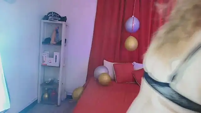 Snapshot of girl_amada chatting on 02-10-26, 08:24 girl amada online show from 02-10-26, 08:24