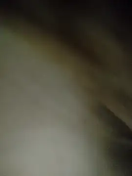 7alawa-44 online show from 02-05-26, 01:16