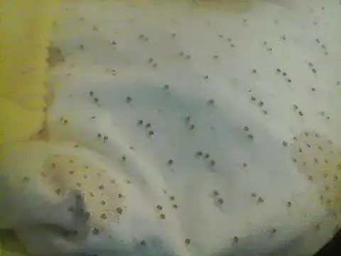 Bigpenis6y online show from 01-24-25, 05:21