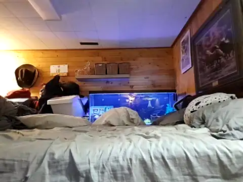 Ryan and Aurora online show from 03-12-26, 09:32